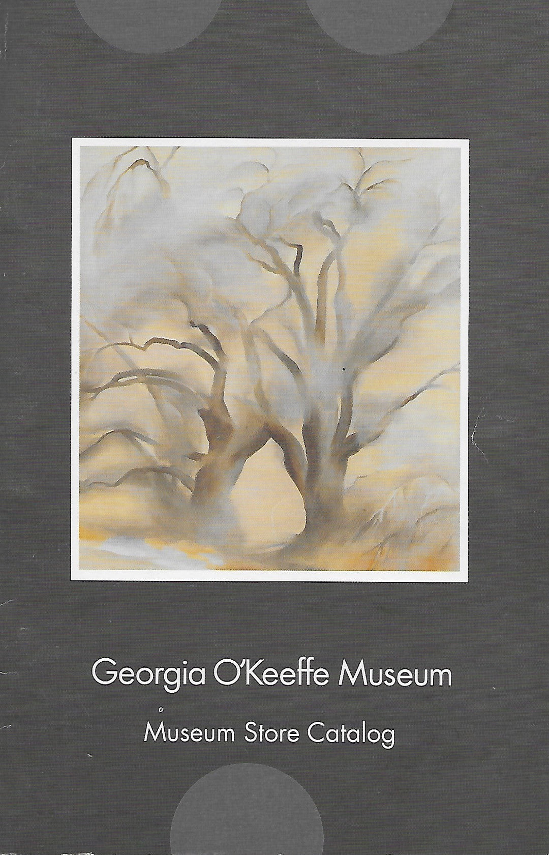 Georgia O'Keeffe Catalog featuring Renata Rubio 92.5
